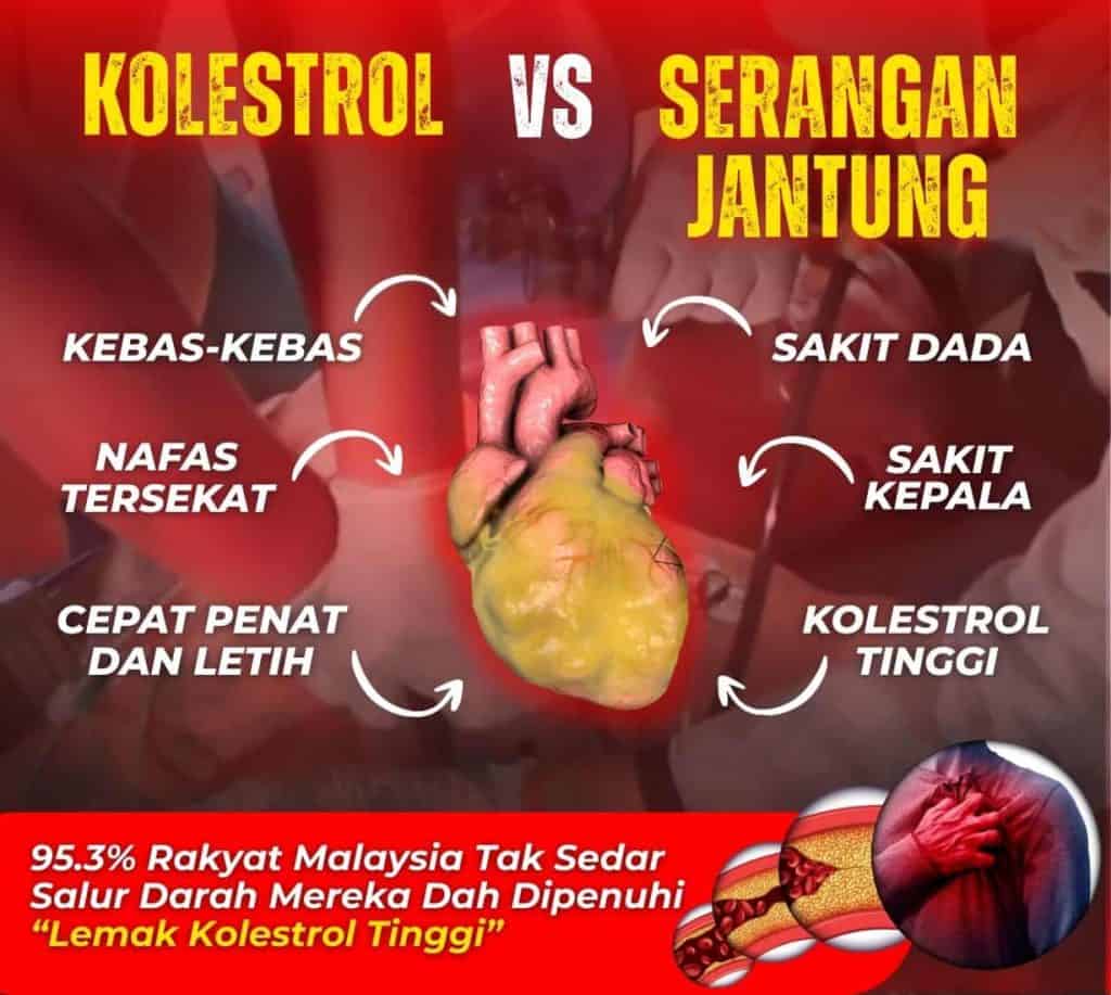 Kolesterol vs heart attack comparison infographic.
